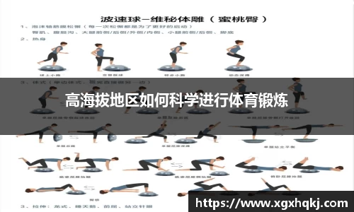 熊猫体育平台